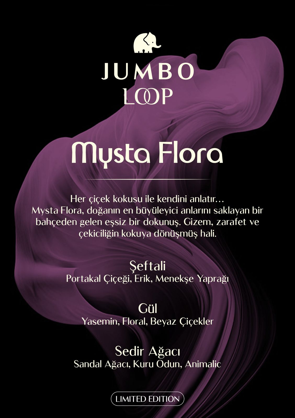 Jumbo Loop Mysta Flora Çubuklu Oda Kokusu, Mat Gül Kurusu Şişe